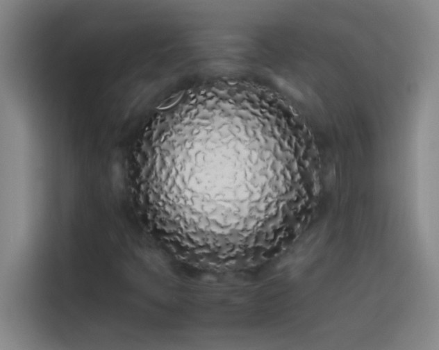 X0000113911397200910011439