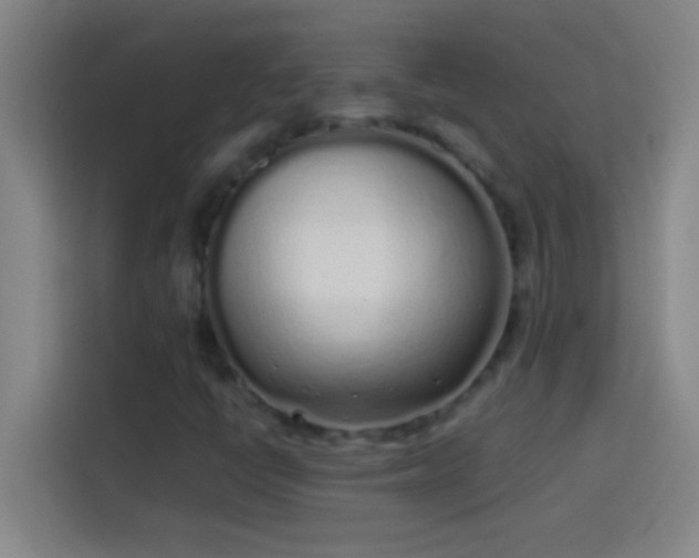 X0000113911398200910011439