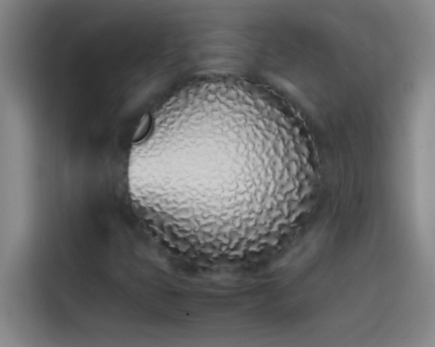 X0000113911399200910011439