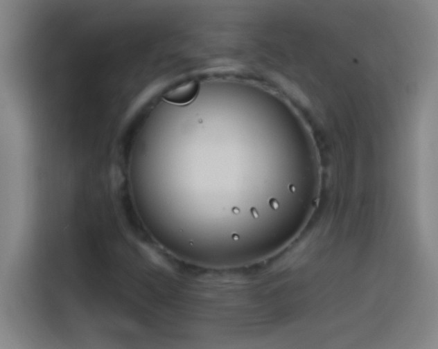 X0000113911400200910011439