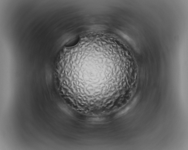 X0000113911401200910011439