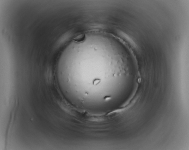 X0000113911403200910011439