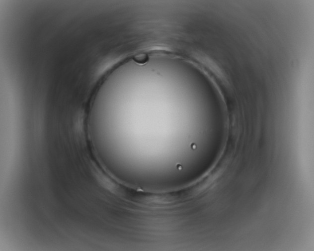 X0000113911404200910011439