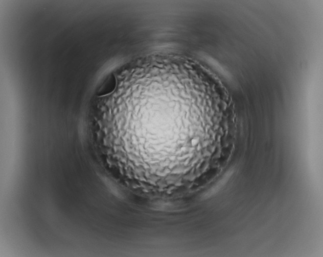 X0000113911405200910011439