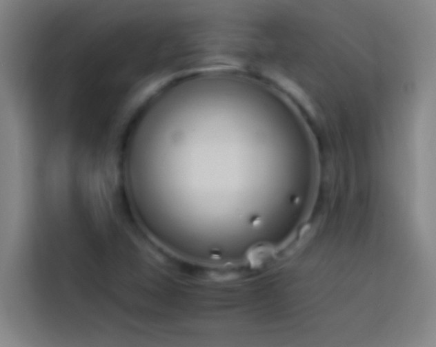 X0000113911407200910011439