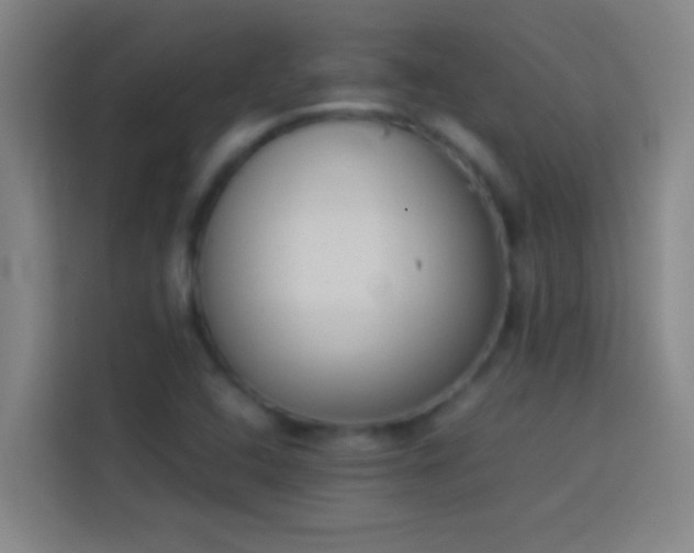 X0000113911408200910011439