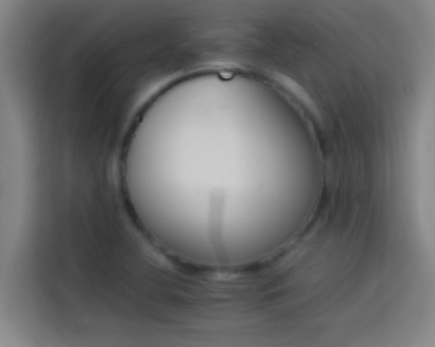 X0000113911412200910011440