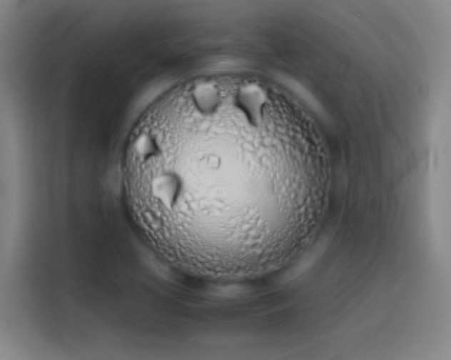 X0000113911413200910011440