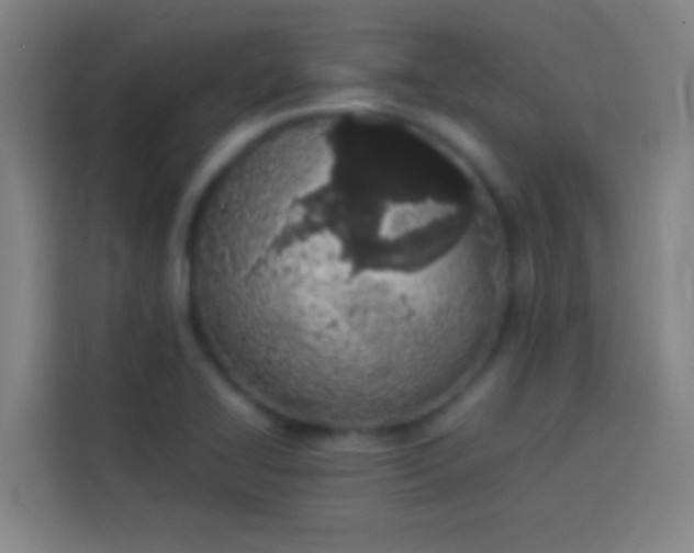 X0000113911414200910011440