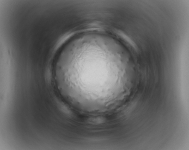 X0000113911415200910011440