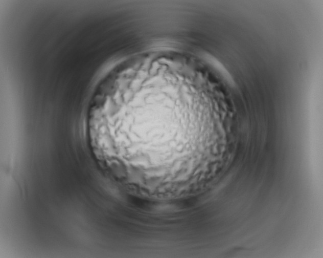 X0000113911419200910011440