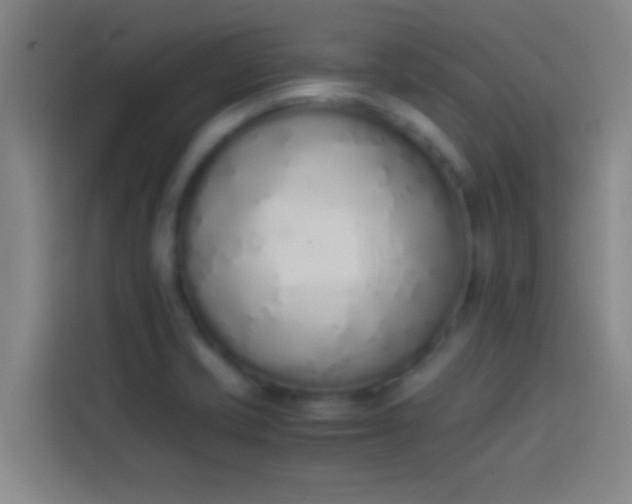 X0000113911421200910011440