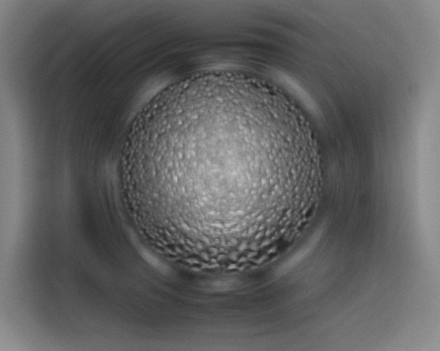 X0000113911425200910011440