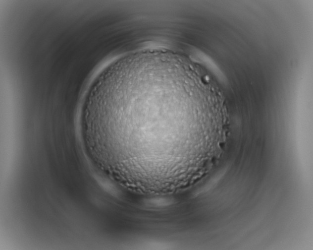 X0000113911427200910011440