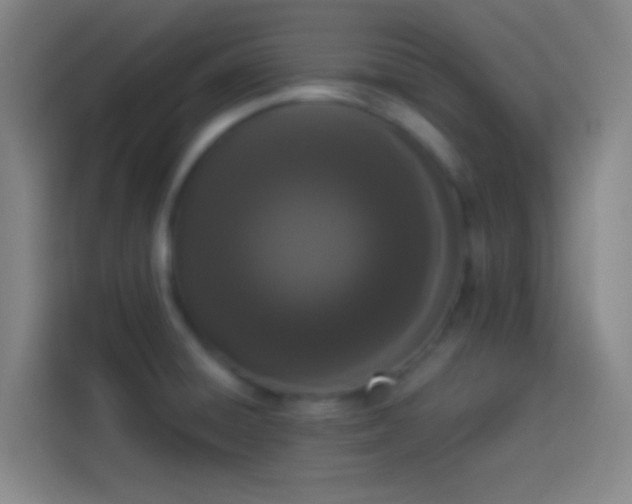 X0000113911428200910011440