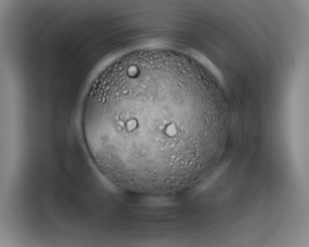 X0000113911429200910011440