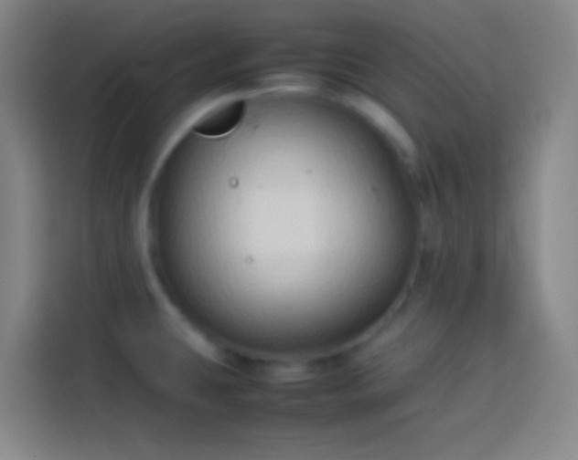 X0000113911431200910011440