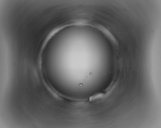 X0000113911432200910011440