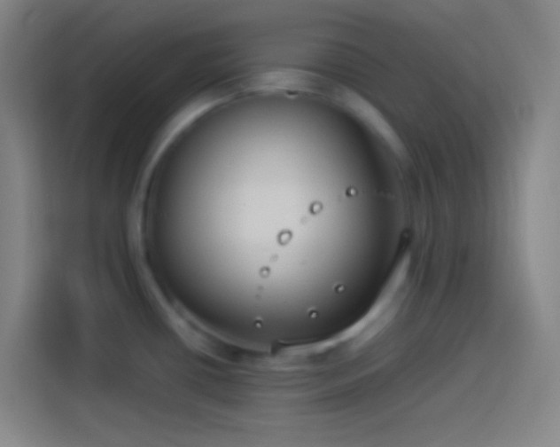 X0000113911434200910011440