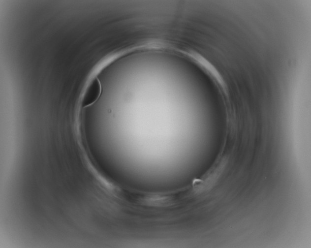 X0000113911437200910011440