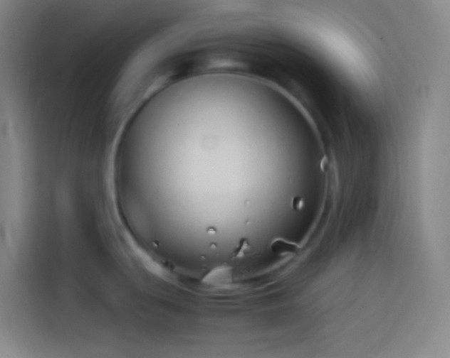 X0000113911439200910011440