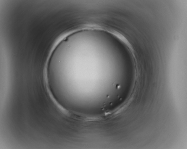 X0000113911440200910011440