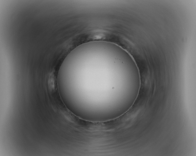 X0000113911442200910011439