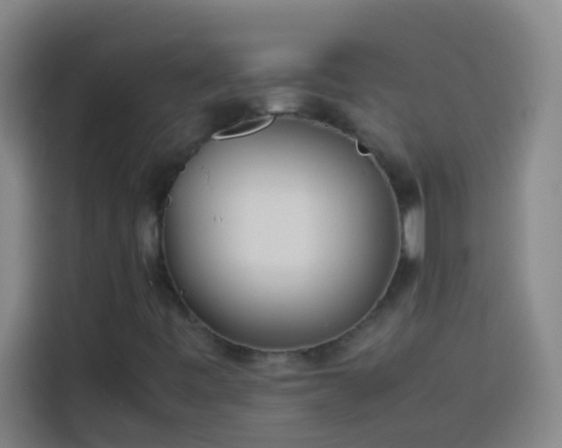 X0000113911443200910011439