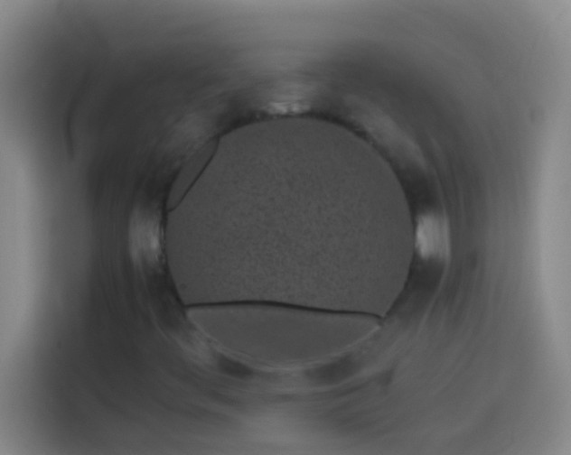 X0000113911444200910011439