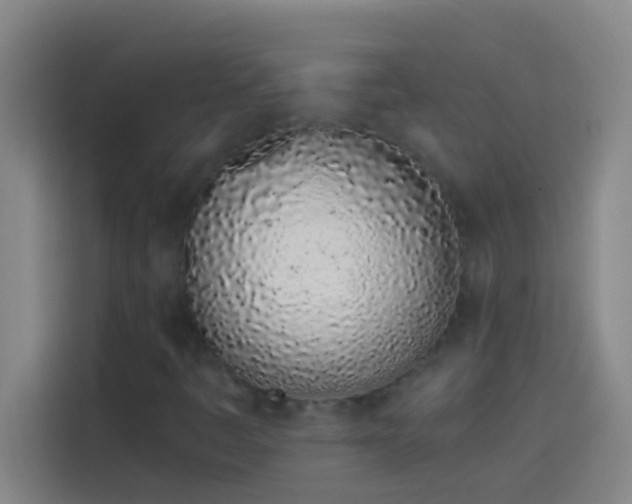 X0000113911445200910011439