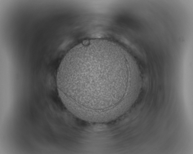 X0000113911446200910011439