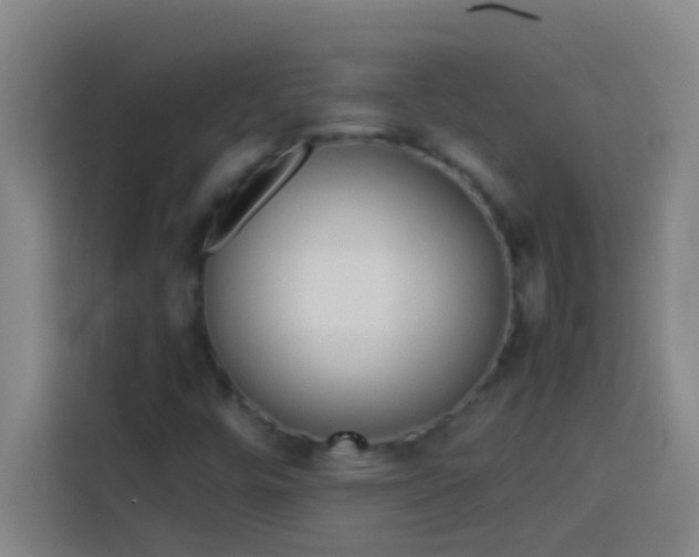 X0000113911448200910011439