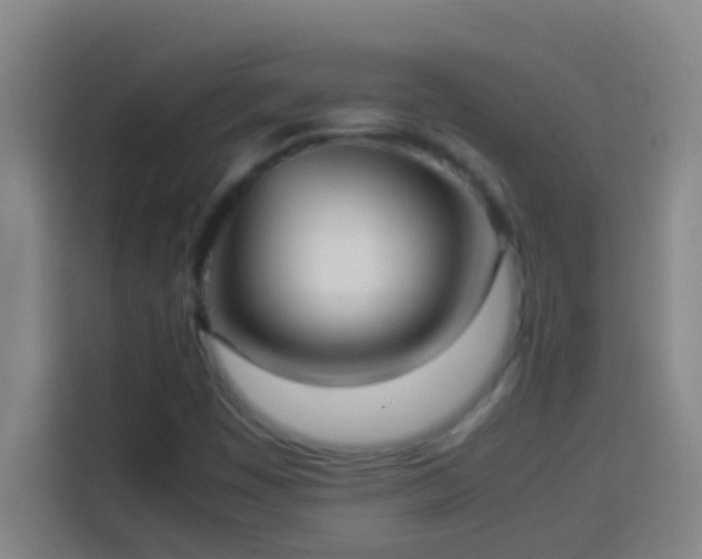 X0000113911449200910011439