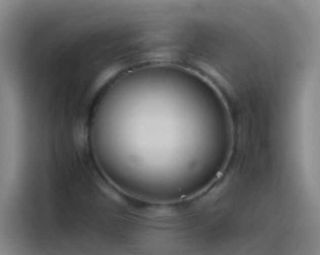 X0000113911450200910011439