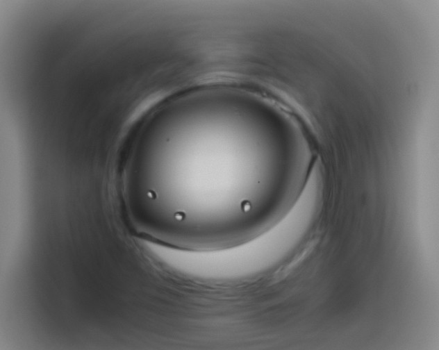 X0000113911453200910011439