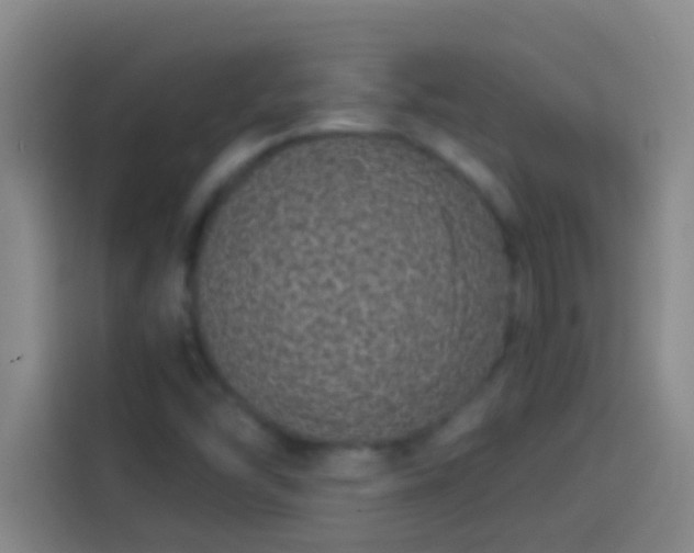 X0000113911454200910011439