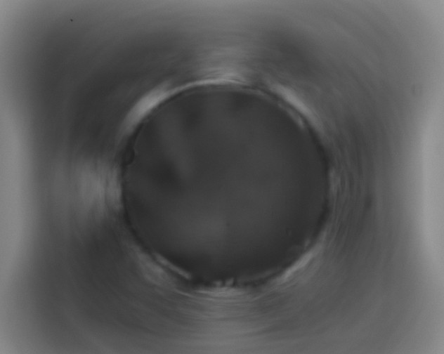X0000113911455200910011439