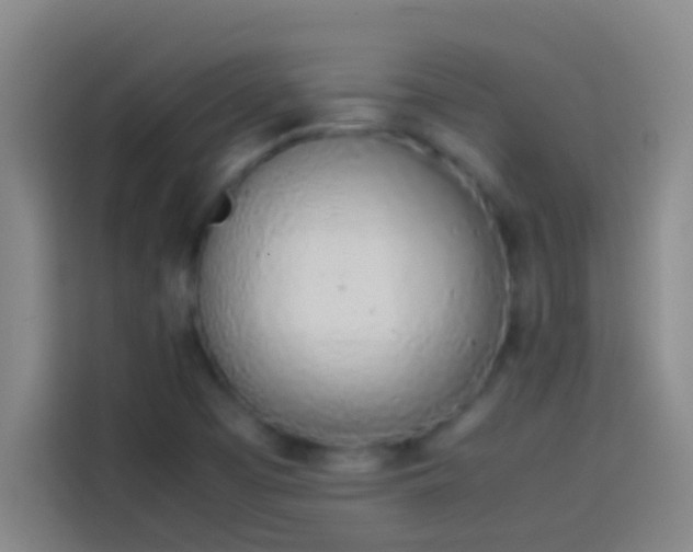 X0000113911457200910011439