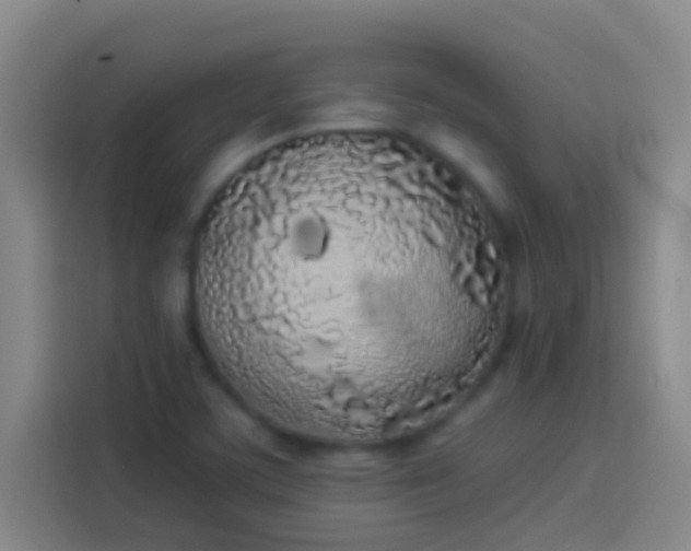 X0000113911459200910011439