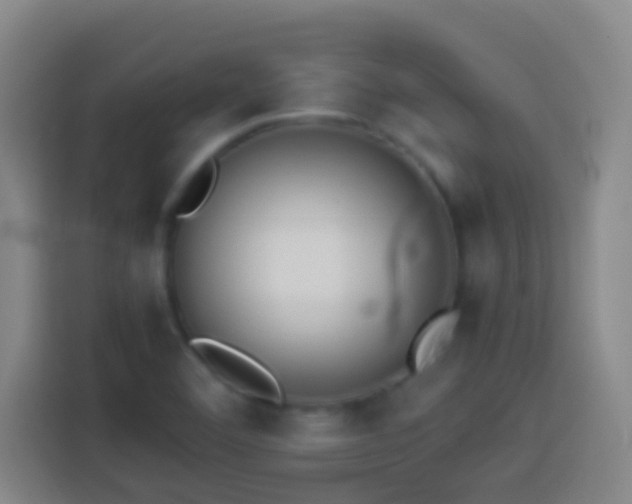X0000113911460200910011439