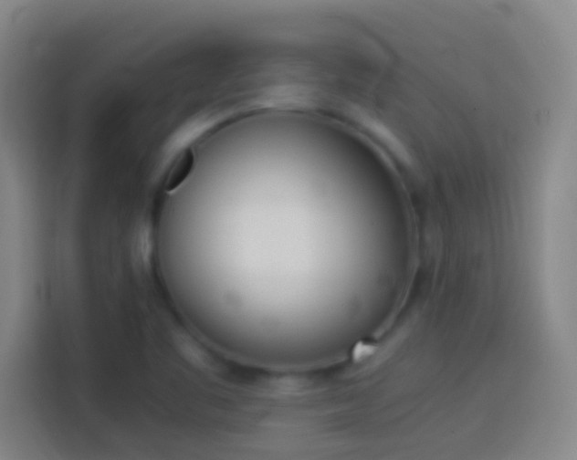 X0000113911461200910011439