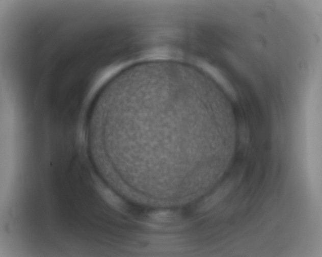 X0000113911462200910011439