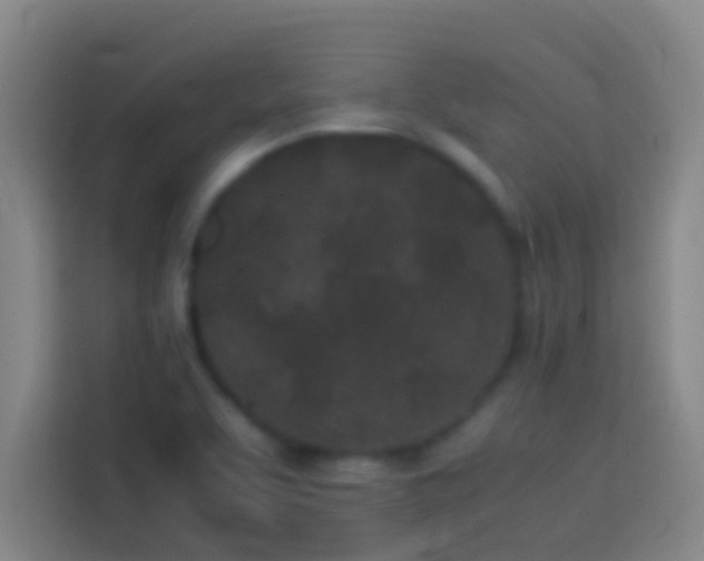 X0000113911463200910011439