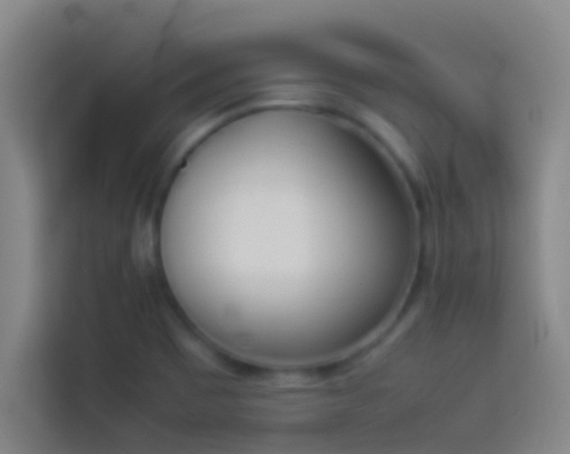 X0000113911465200910011439