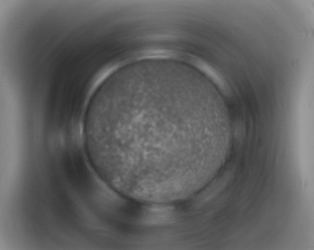 X0000113911466200910011439