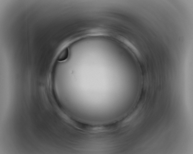 X0000113911467200910011439