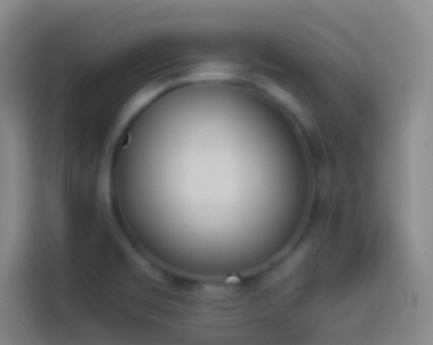 X0000113911469200910011439