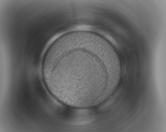 X0000113911470200910011439