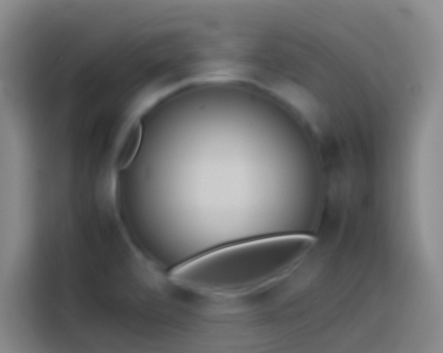 X0000113911472200910011439