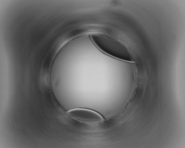 X0000113911473200910011439